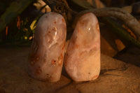 Polished Ocean Flower Agate Standing Free Forms  x 4 From Madagascar - Toprock Gemstones and Minerals