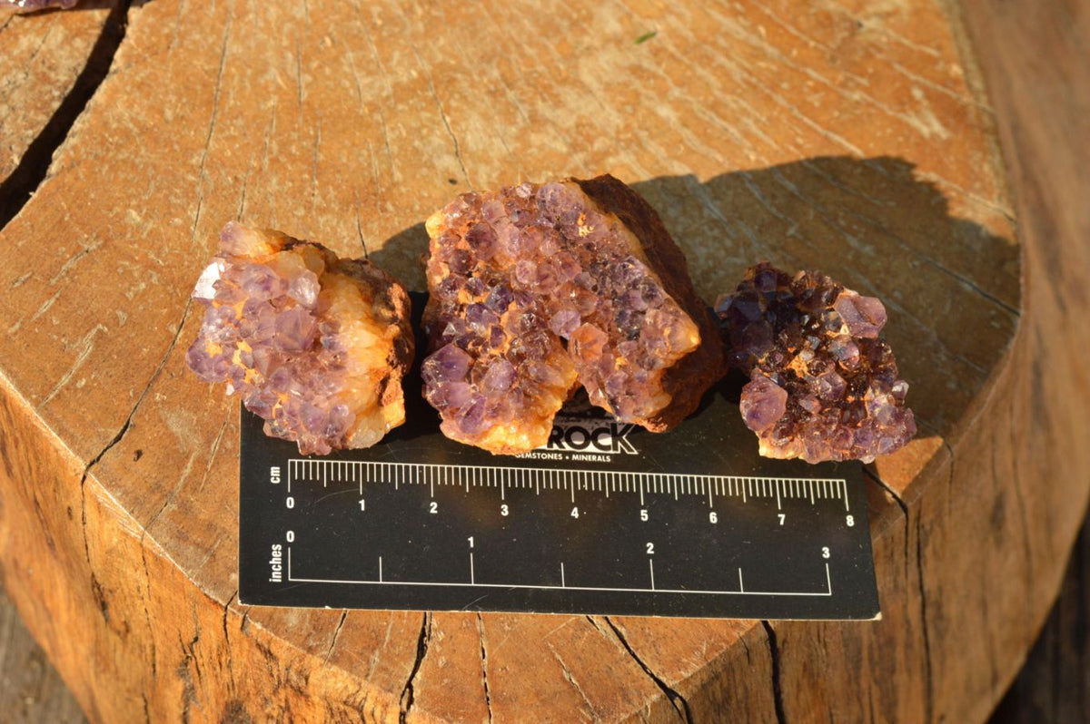 Natural Small Dark "Amethystos" Amethyst Clusters x 66 From Kwaggafontein, South Africa - TopRock