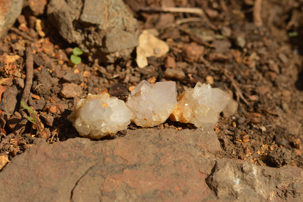Natural Small Selected White Spirit Quartz Clusters x 63 From Boekenhouthoek, South Africa - TopRock