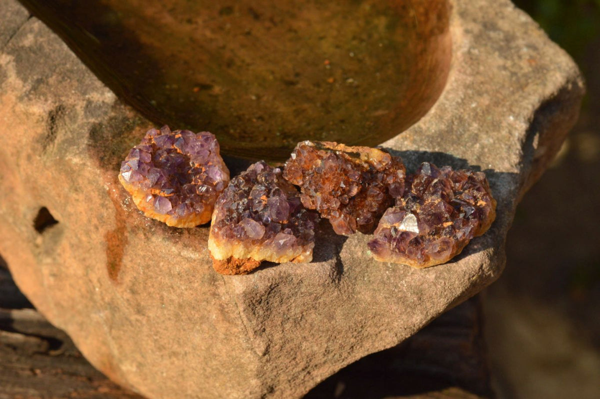 Natural Small Dark "Amethystos" Amethyst Clusters x 66 From Kwaggafontein, South Africa - TopRock