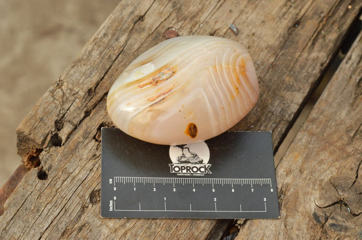 Polished Small Banded & Dendritic Agate Standing Free Forms x 12 From Moralambo, Madagascar - TopRock