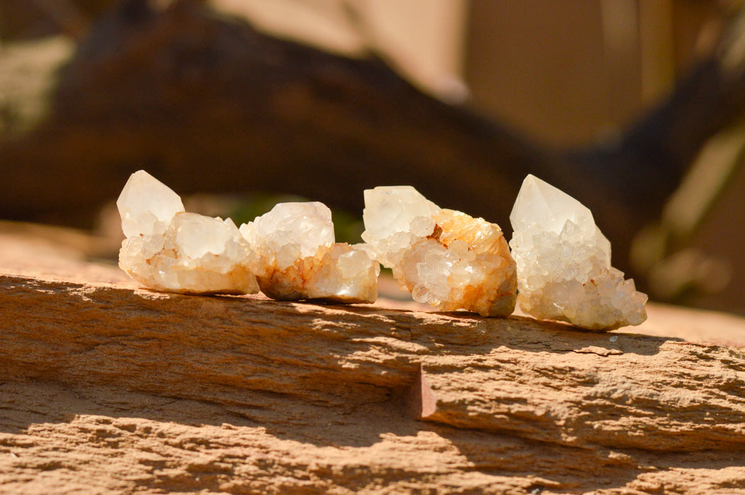 Natural Small Selected White Spirit Quartz Clusters x 63 From Boekenhouthoek, South Africa - TopRock