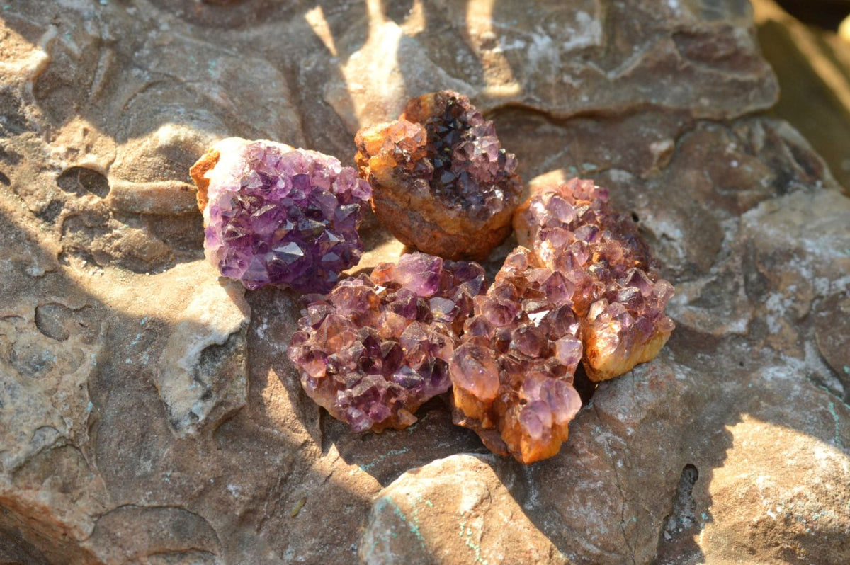 Natural Small Dark "Amethystos" Amethyst Clusters x 66 From Kwaggafontein, South Africa - TopRock