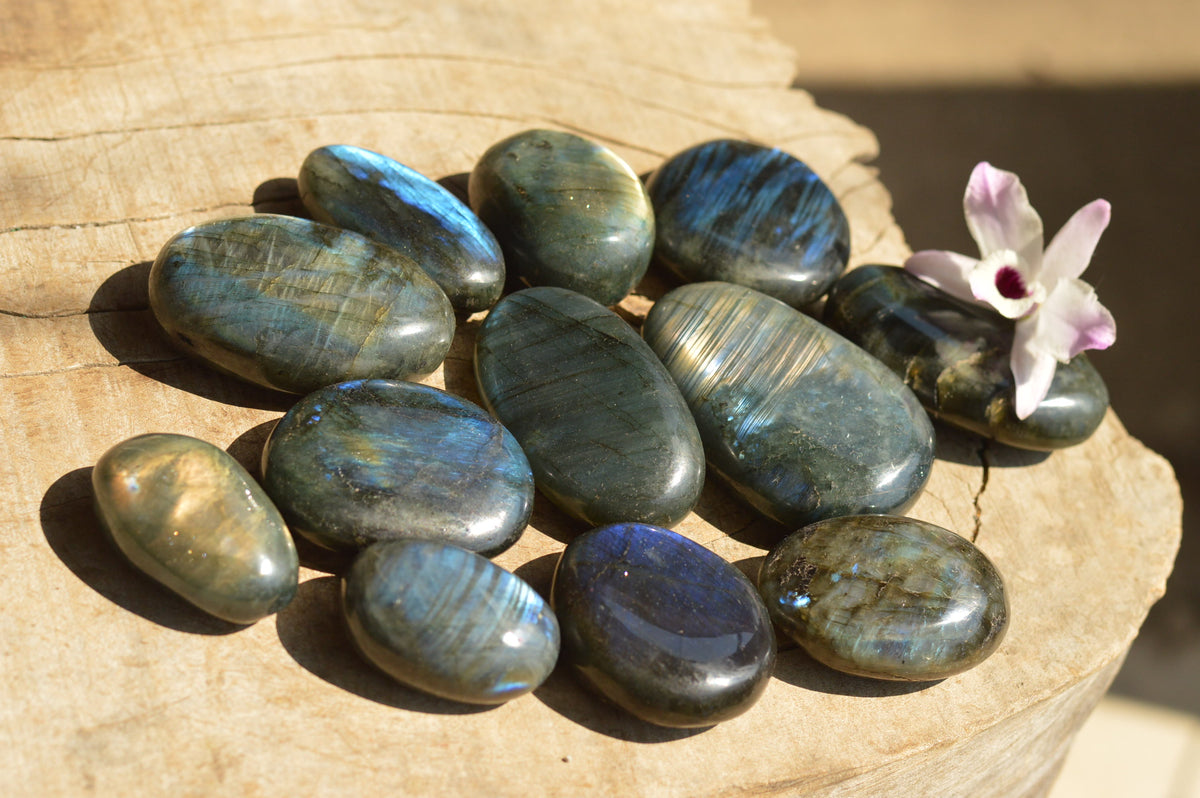 Polished Flashy Blue Labradorite Palm Stones x 12 From Tulear, Madagascar - TopRock
