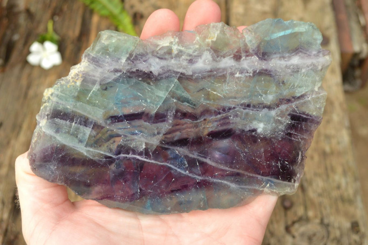 Polished Semi Translucent Watermelon Fluorite Slices x 2 From Uis, Namibia - TopRock