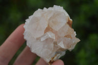 Natural White Spirit Quartz Clusters  x 6 From Boekenhouthoek, South Africa - Toprock Gemstones and Minerals