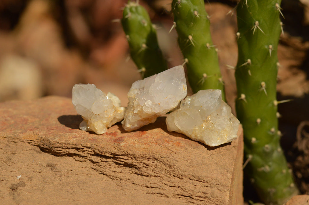 Natural Small Selected White Spirit Quartz Clusters x 63 From Boekenhouthoek, South Africa - TopRock