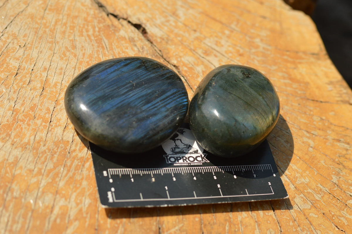 Polished Flashy Blue Labradorite Palm Stones x 12 From Tulear, Madagascar - TopRock