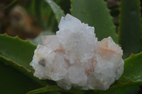 Natural White Spirit Quartz Clusters  x 6 From Boekenhouthoek, South Africa - Toprock Gemstones and Minerals