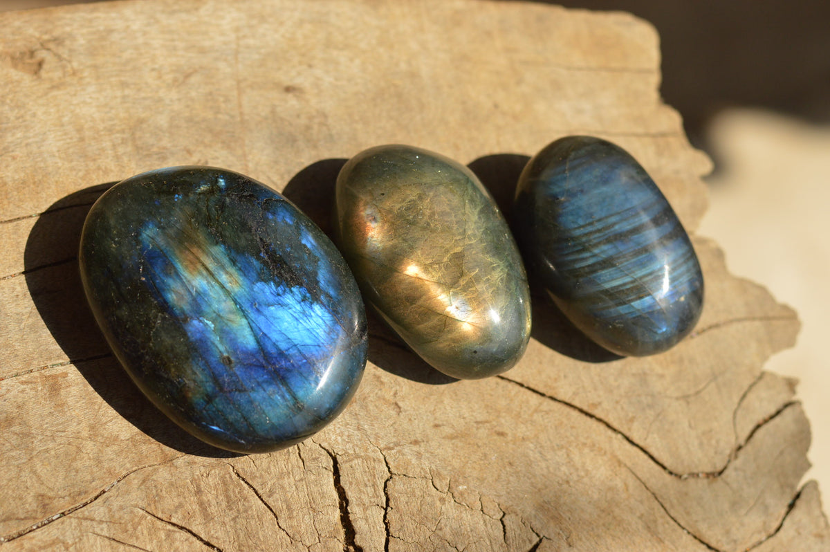 Polished Flashy Blue Labradorite Palm Stones x 12 From Tulear, Madagascar - TopRock