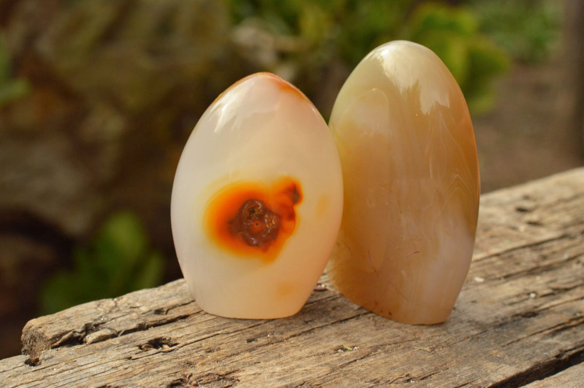 Polished Small Banded & Dendritic Agate Standing Free Forms x 12 From Moralambo, Madagascar - TopRock