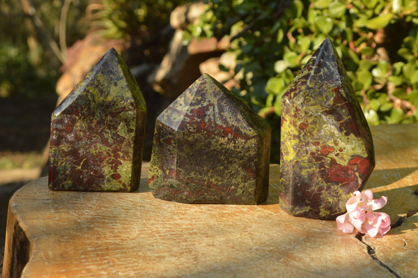 Polished Dragon Bastite Bloodstone Crystals  x 3 From Tshipise, South Africa - TopRock