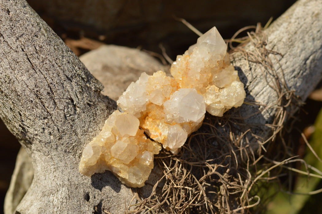 Natural Small Selected White Spirit Quartz Clusters x 63 From Boekenhouthoek, South Africa - TopRock