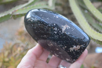 Polished Schorl Black Tourmaline Standing Free Forms x 2 From Madagascar - Toprock Gemstones and Minerals