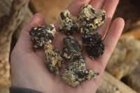 Natural Small Schorl Black Tourmaline Specimens x 70 From Erongo, Namibia - Toprock Gemstones and Minerals
