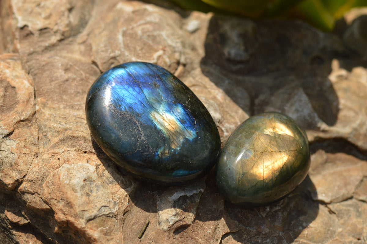 Polished Flashy Blue Labradorite Palm Stones x 12 From Tulear, Madagascar - TopRock