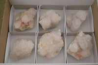 Natural White Spirit Cactus Quartz Clusters  x 6 From Boekenhouthoek, South Africa - Toprock Gemstones and Minerals