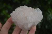 Natural White Spirit Cactus Quartz Clusters  x 6 From Boekenhouthoek, South Africa - Toprock Gemstones and Minerals