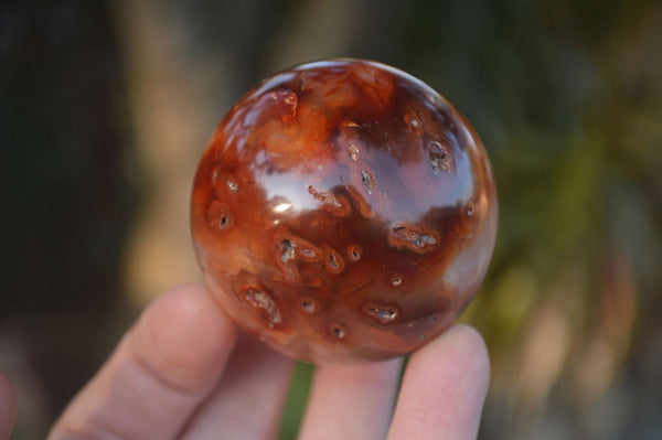 Polished Carnelian Agate Spheres  x 6 From Madagascar