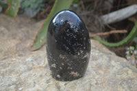 Polished Schorl Black Tourmaline Standing Free Forms x 2 From Madagascar - Toprock Gemstones and Minerals
