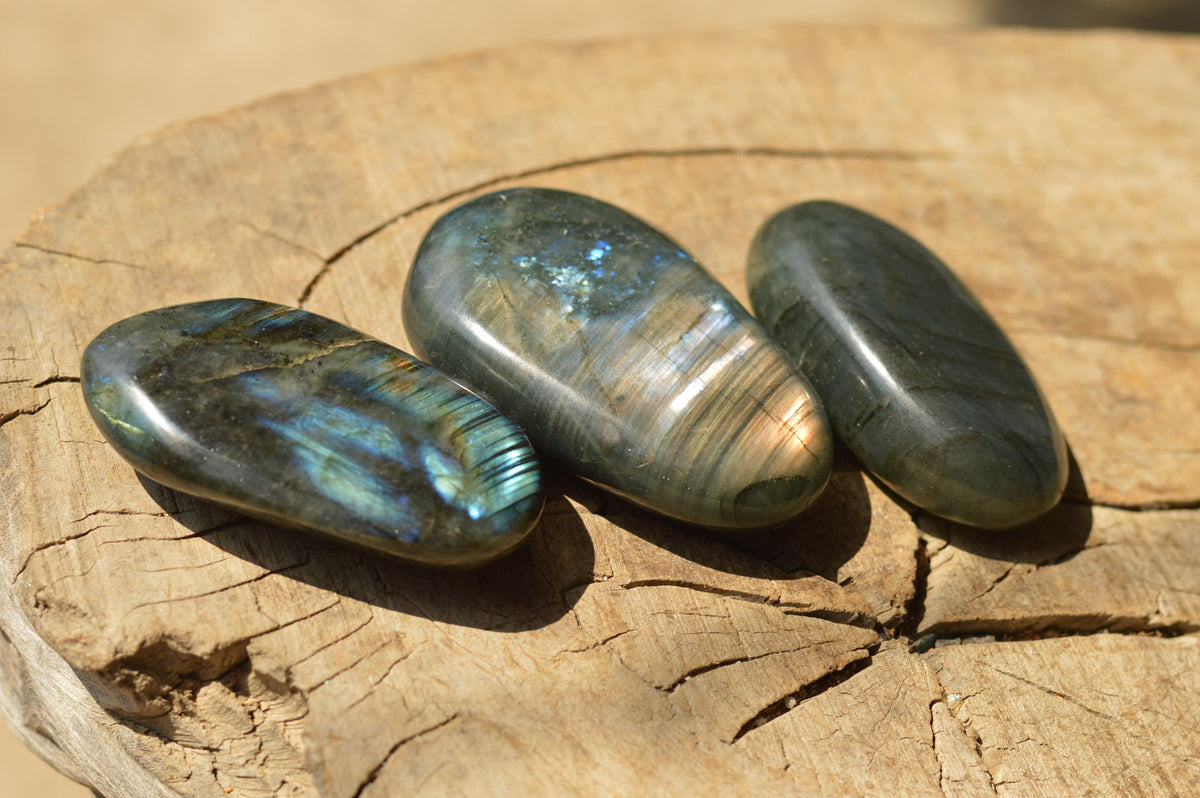 Polished Flashy Blue Labradorite Palm Stones x 12 From Tulear, Madagascar - TopRock