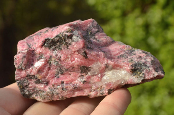 Natural Rhodonite, Quartz, Calcite, Chromite Cobbed Pieces  x 8 From Zimbabwe - TopRock