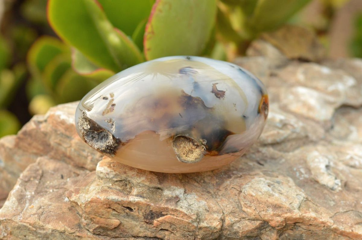 Polished Small Banded & Dendritic Agate Standing Free Forms x 12 From Moralambo, Madagascar - TopRock