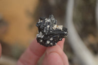 Natural Small Schorl Black Tourmaline Specimens x 70 From Erongo, Namibia - Toprock Gemstones and Minerals