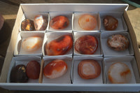 Polished Carnelian Agate Palm Stones  x 14 From Madagascar - Toprock Gemstones and Minerals