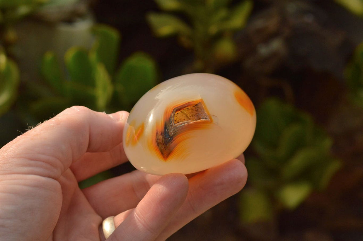 Polished Small Banded & Dendritic Agate Standing Free Forms x 12 From Moralambo, Madagascar - TopRock