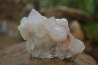 Natural White Spirit Cactus Quartz Clusters  x 6 From Boekenhouthoek, South Africa - Toprock Gemstones and Minerals