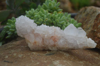 Natural White Spirit Cactus Quartz Clusters  x 2 From Boekenhouthoek, South Africa - Toprock Gemstones and Minerals