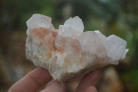 Natural White Spirit Cactus Quartz Clusters  x 6 From Boekenhouthoek, South Africa - Toprock Gemstones and Minerals