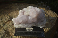 Natural Pale Lilac Spirit Quartz Clusters x 6 From Boekenhouthoek, South Africa - Toprock Gemstones and Minerals