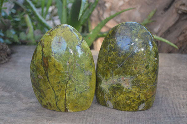 Polished Green Opal Standing Free Forms  x 2 From Antsirabe, Madagascar