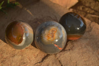 Polished  Polychrome / Picasso Jasper Spheres  x 3 From Madagascar - Toprock Gemstones and Minerals