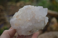 Natural White Spirit Cactus Quartz Clusters  x 6 From Boekenhouthoek, South Africa - Toprock Gemstones and Minerals