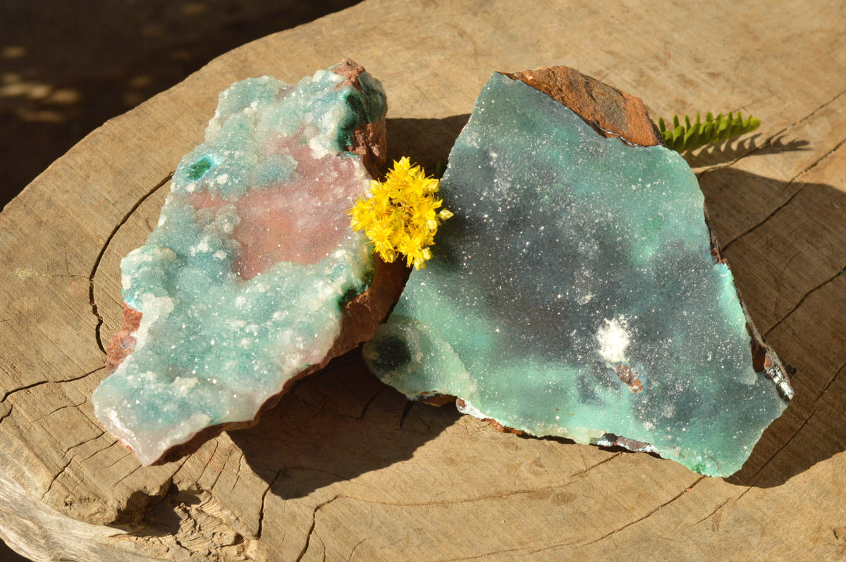Natural Drusy Coated Chrysocolla Dolomite Specimens x 2 From Lupoto Mine, Congo - TopRock