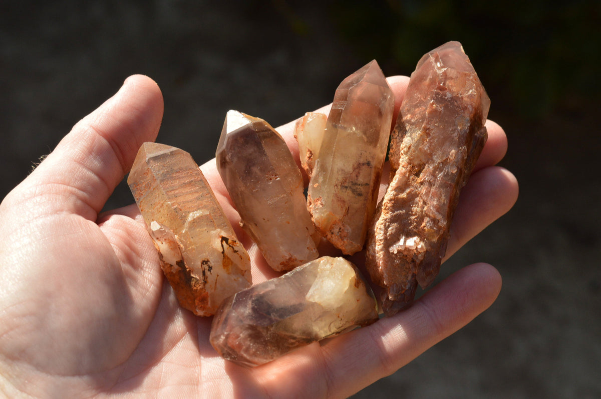 Natural Red Hematoid Phantom Quartz Crystals x 35 From Karoi, Zimbabwe - TopRock
