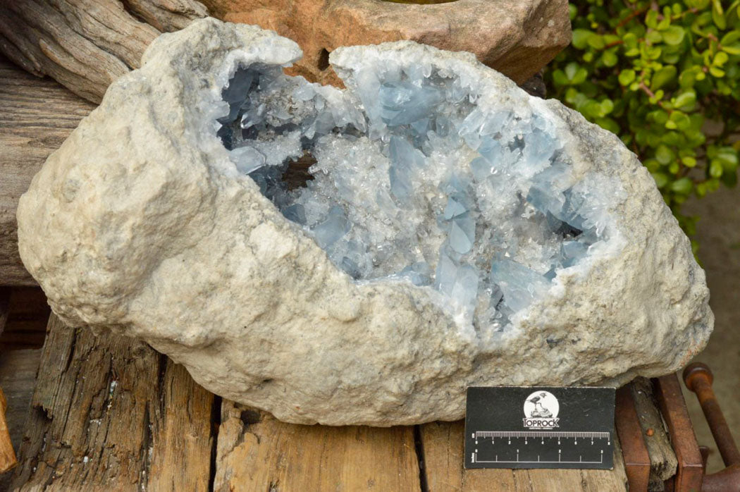 Natural XXL Celestite Geode With Gorgeous Acicular / Prismatic Crystals x 1 From Sakoany, Madagascar - TopRock