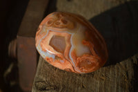 Polished Carnelian Agate Palm Stones  x 14 From Madagascar - Toprock Gemstones and Minerals