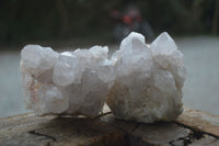 Natural White Spirit Cactus Quartz Clusters  x 6 From Boekenhouthoek, South Africa - Toprock Gemstones and Minerals