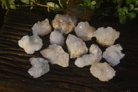 Natural White Cactus Flower Spirit Quartz Specimens x 12 From Boekenhouthoek, South Africa - Toprock Gemstones and Minerals