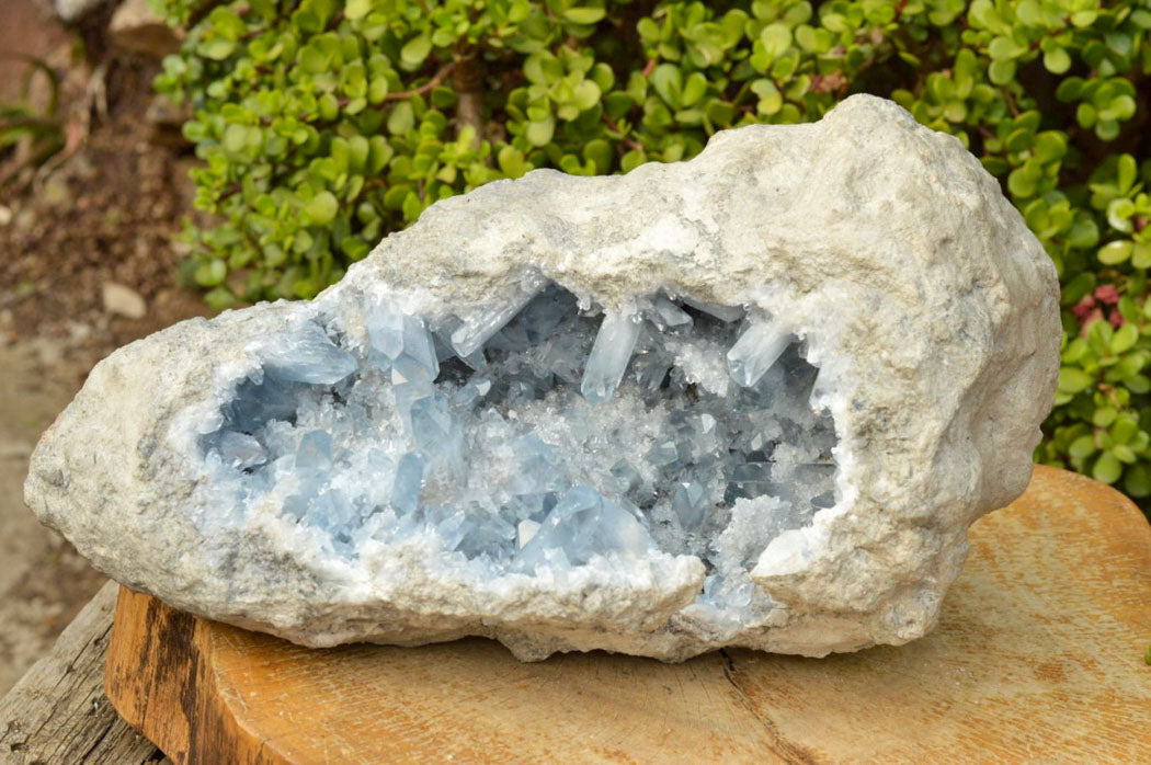 Natural XXL Celestite Geode With Gorgeous Acicular / Prismatic Crystals x 1 From Sakoany, Madagascar - TopRock