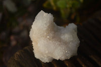 Natural White Cactus Flower Spirit Quartz Specimens x 12 From Boekenhouthoek, South Africa - Toprock Gemstones and Minerals