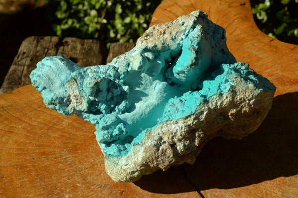 Natural Bright Blue Botryoidal Chrysocolla Specimen x 1 From Lupoto, Congo - TopRock