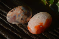 Polished Carnelian Agate Palm Stones  x 14 From Madagascar - Toprock Gemstones and Minerals