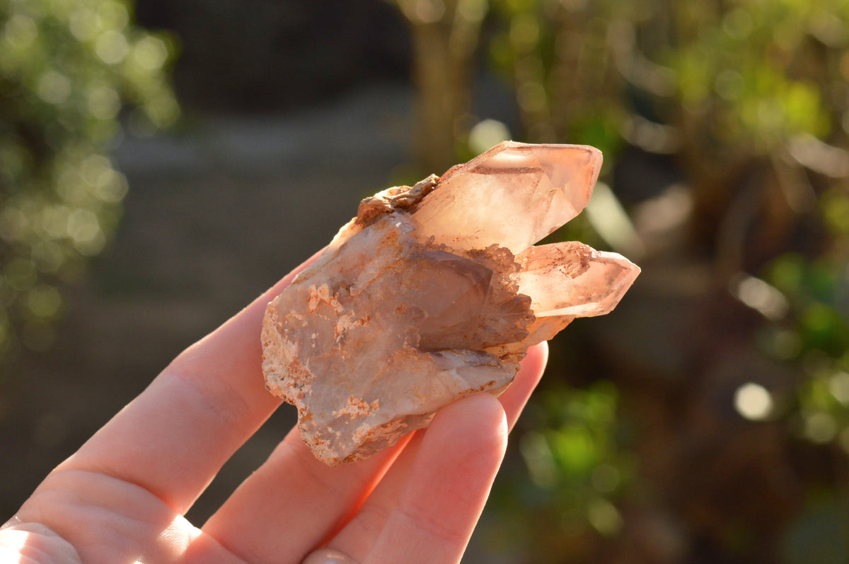 Natural Red Hematoid Phantom Quartz Crystals x 35 From Karoi, Zimbabwe - TopRock