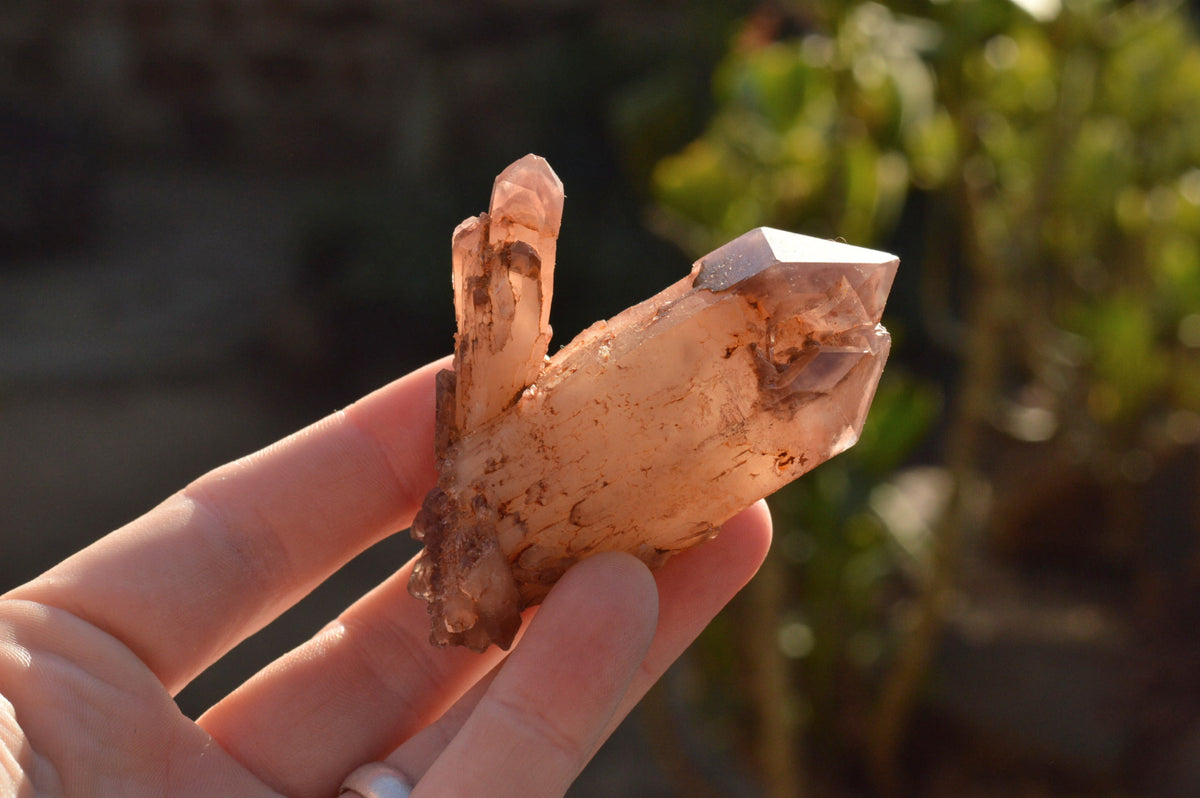 Natural Red Hematoid Phantom Quartz Crystals x 35 From Karoi, Zimbabwe - TopRock
