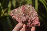 Natural Rough Red Rhodonite Specimens x 4 From Zimbabwe - Toprock Gemstones and Minerals